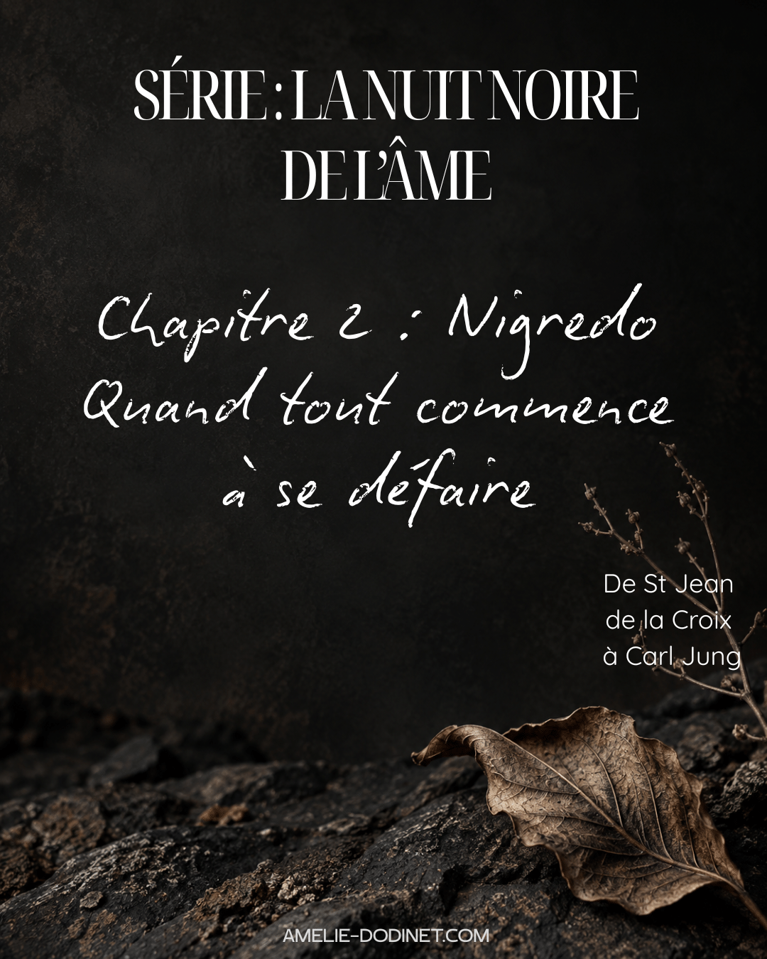 chapitre 2 nuit noire 011