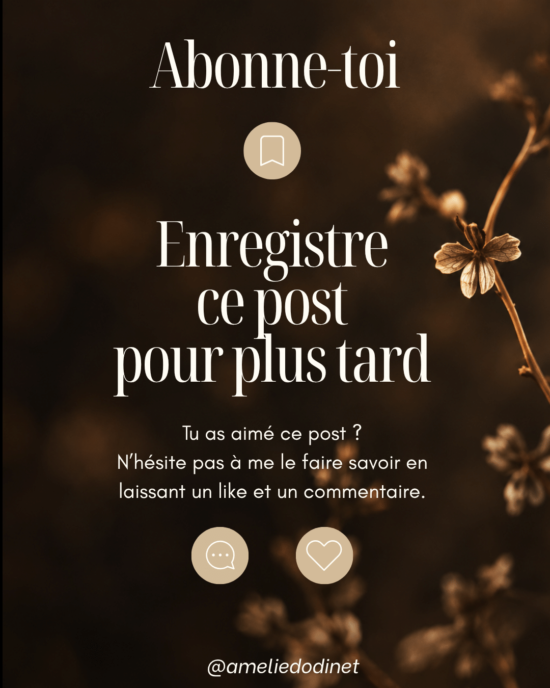 chapitre 1 nuit noire 11