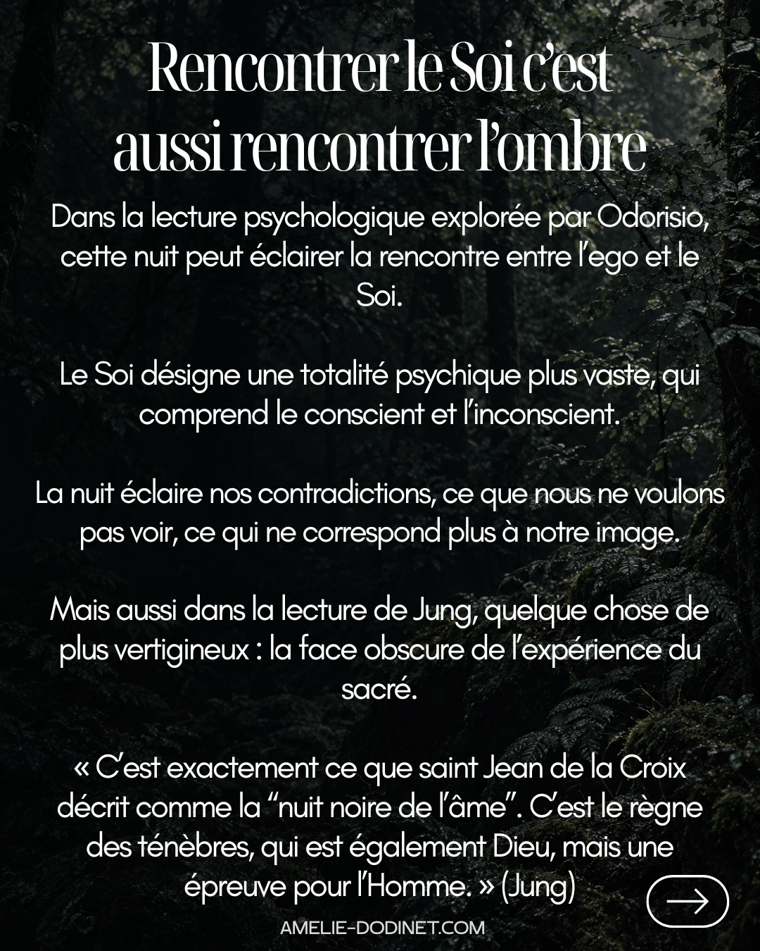 chapitre 1 nuit noire 06